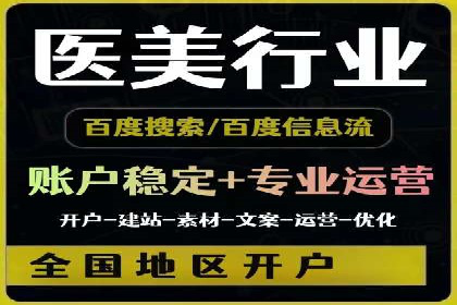 SEO与SEM优化案例：打造行业领先品牌